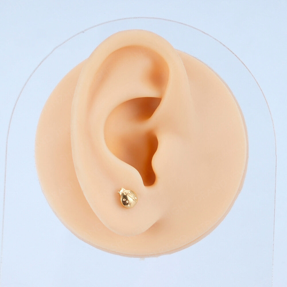 Manekº Piercings de labret, tragus de Mariquita en titanio ASTM F136 de grado implante con rosca interna, de gran tamaño 16G.